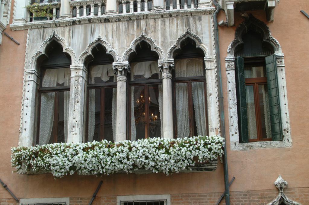 帕拉佐普瑞里酒店 威尼斯 外观 照片